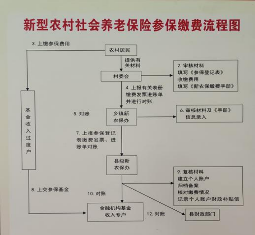 金昌农村医保和社保有什么区别(农村医保跟社保的区别)