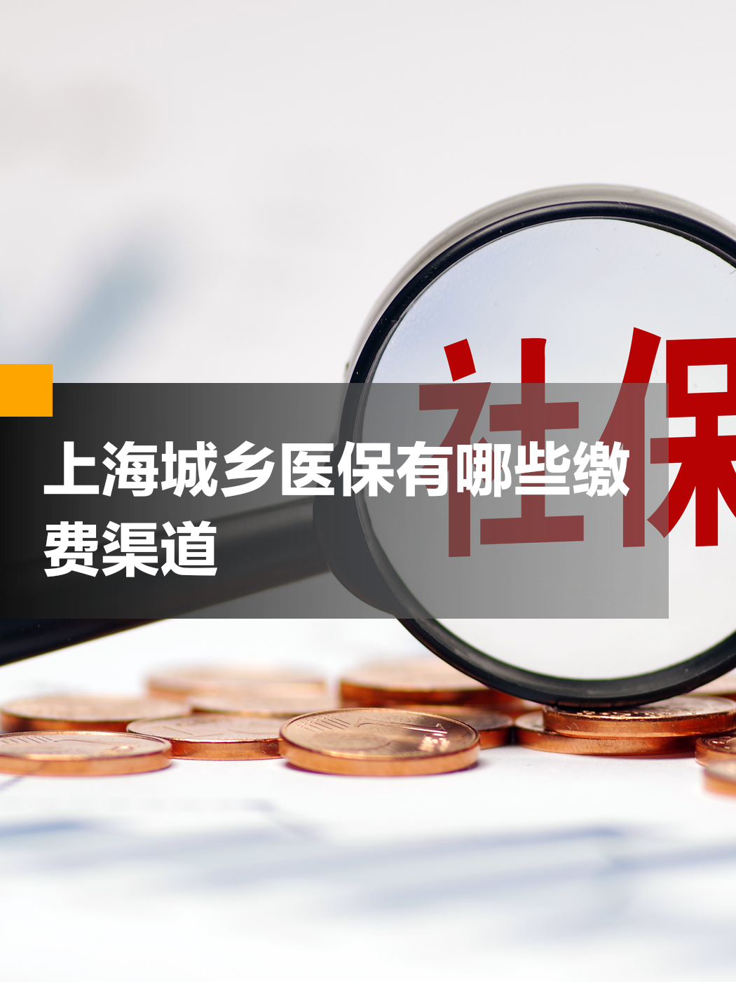 金昌上海市医保(上海市医保局官网)